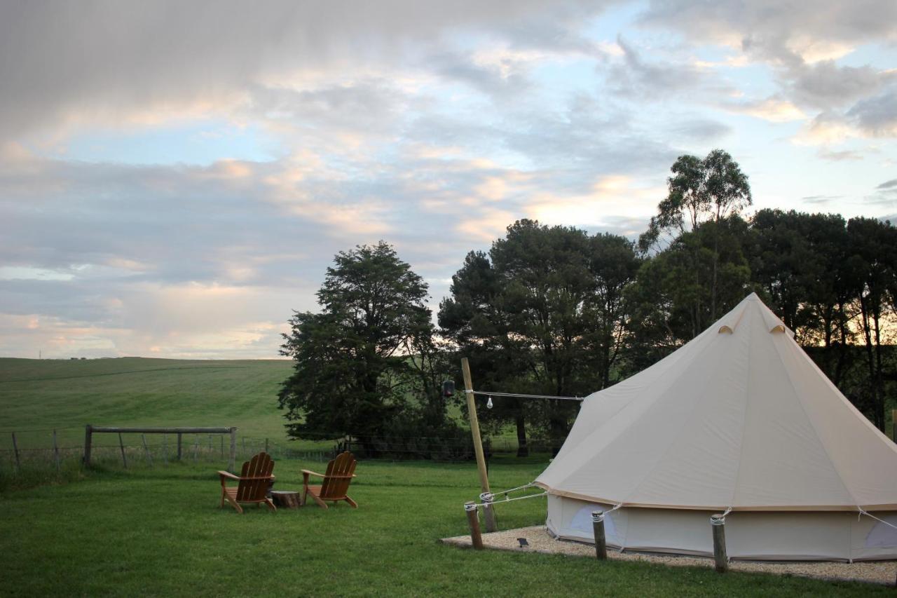 Pine Country Caravan Park Mount Gambier Bagian luar foto