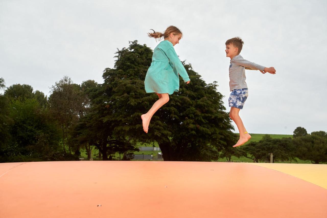 Pine Country Caravan Park Mount Gambier Bagian luar foto
